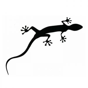 Наклейка-геккон на кузов Audi Gecko Film Наклейка-геккон на кузов Audi Gecko Film