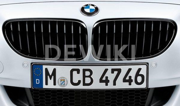 Передняя левая решетка радиатора BMW M Performance F12/F13/F06 6 серия, Black