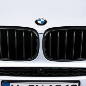 Передняя левая решетка радиатора BMW M Performance F15/F16 X5 и X6, Black Передняя левая решетка радиатора BMW M Performance F15/F16 X5 и X6, Black