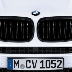 Передняя левая решетка радиатора BMW M Performance F86 X6 M, Black