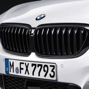 Передняя левая решетка радиатора BMW M Performance G32 GT 6 серия, Black Передняя левая решетка радиатора BMW M Performance G32 GT 6 серия, Black