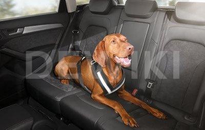 Ремень безопасности для собаки Audi размер S Ремень безопасности для собаки Audi размер S