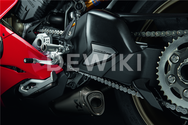Карбоновая защита маятника Ducati Panigale V4 Карбоновая защита маятника Ducati Panigale V4