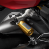 Карбоновый задний брызговик Ducati Monster 1200
