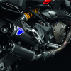 Карбоновый гоночный глушитель Termignoni Ducati Monster 821, до 2018 года