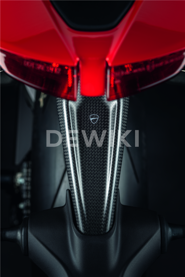 Карбоновый держатель номерного знака Ducati Hypermotard 950