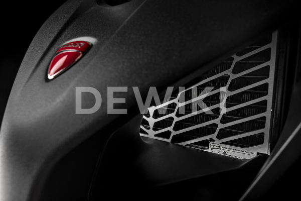 Защитная сетка для масляного радиатора Ducati Multistrada 950 / 1200 / 1260 / Enduro, Silver