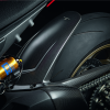 Карбоновый задний брызговик Ducati Panigale V4 / Streetfighter V4