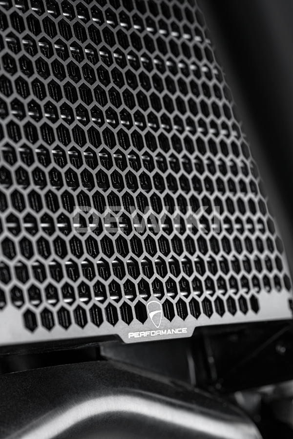 Защитная сетка для масляного радиатора Ducati Multistrada V4 с 2021 года, Black