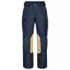 Брюки BMW Motorcycle Pants GS Rallye GTX men 2025